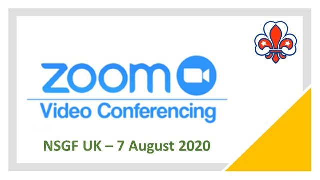 zoom picture uk 2020