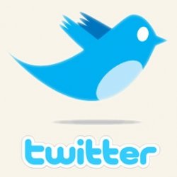 twitter-logo_preview